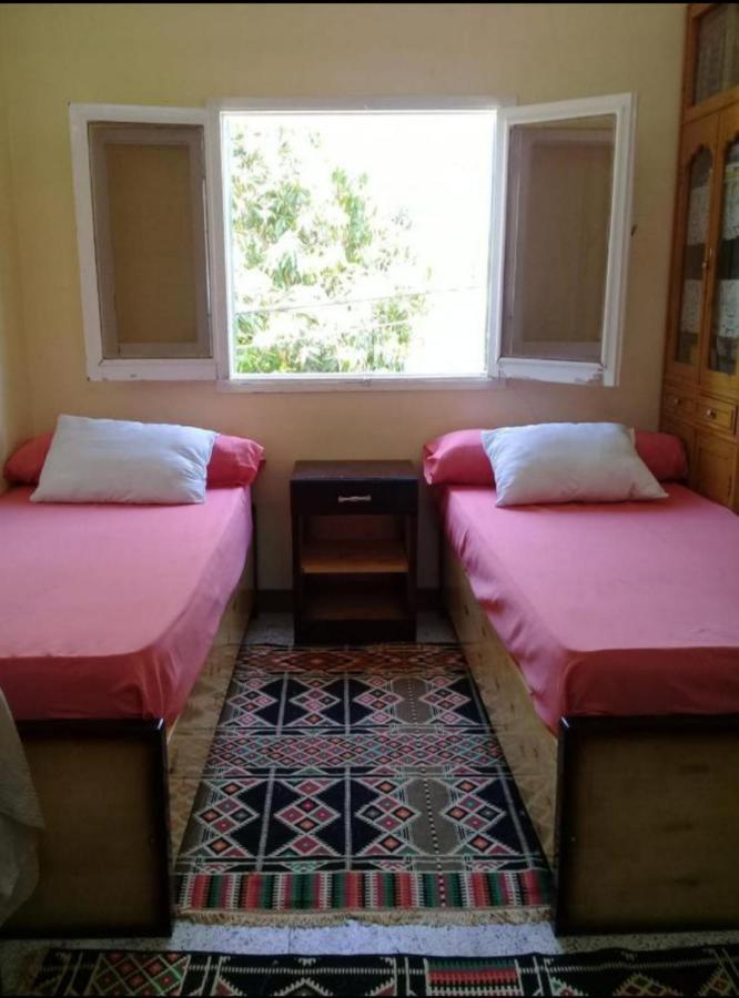 Mastonkel Hotel Aswan Bagian luar foto