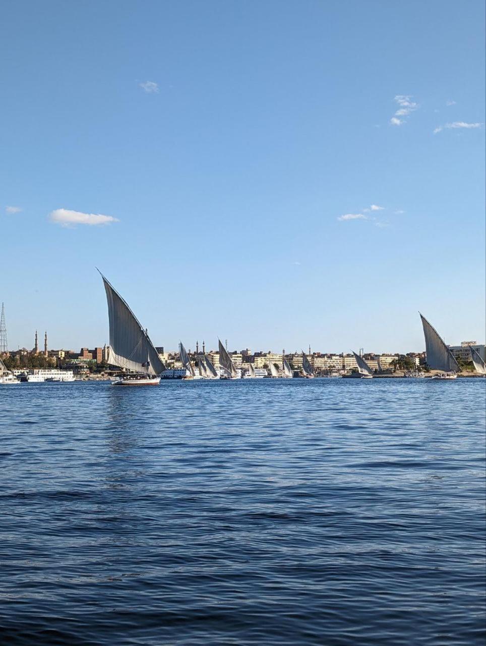 Mastonkel Hotel Aswan Bagian luar foto
